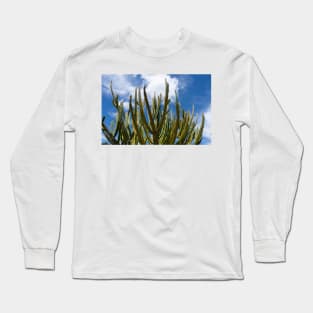 Tall green candelabra cactus i n Auckland Botanical Gardens Long Sleeve T-Shirt